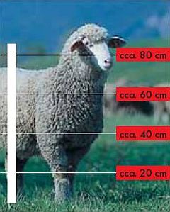 Elektrické ohradníky pro ovce - doporučená výška vodičů 1
